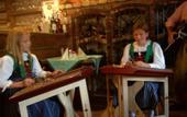 Туры в отель Andis Almdorf