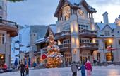 Туры в отель Tivoli Lodge