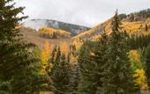 Туры в отель Tivoli Lodge
