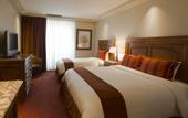 Туры в отель Tivoli Lodge
