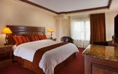 Туры в отель Tivoli Lodge