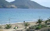 Туры в отель Tolon Beach Hotel