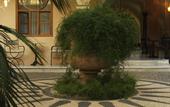 Туры в отель Casa Delfino Hotel & Spa