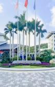 Туры в отель Dragon Bay