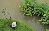 Туры в отель Le Meridien Chiang Rai