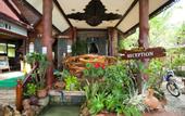 Туры в отель Paradise Pearl Bungalow