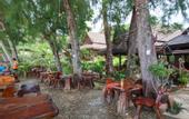Туры в отель Paradise Pearl Bungalow