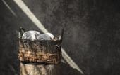 Туры в отель Be Tulum