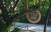 Туры в отель Be Tulum