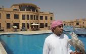 Туры в отель Al Bada Hotel & Resort