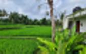 Туры в отель Ayurvedagram Bali