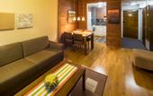 Туры в отель Lapland Hotel Saaga (Nordic Chalets)