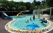 Туры в отель Birds & Bees Resort