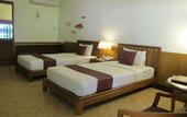 Туры в отель Birds & Bees Resort