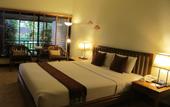 Туры в отель Birds & Bees Resort