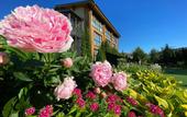 Туры в отель Les Art Resort