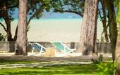 Туры в отель The Mangrove by Blu Monkey