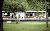 Туры в отель The Mangrove by Blu Monkey