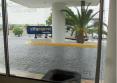 City Express Cancun 4*