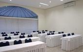 Туры в отель Plaza Inn American Loft Sao Paulo