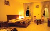 Туры в отель Golden Park Resort