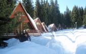 Туры в отель Villas Malina