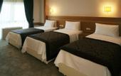 Туры в отель Grand Emir Hotel