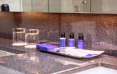 Туры в отель Vivanta Colombo, Airport Garden