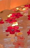 Туры в отель Jalsa Beach Hotel & SPA