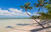 Туры в отель Jalsa Beach Hotel & SPA