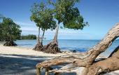 Туры в отель Jalsa Beach Hotel & SPA