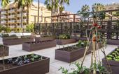 Туры в отель Be Live Adults Only Tenerife