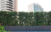Туры в отель Best Western Plus at 20 Sukhumvit Hotel Bangkok
