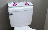 Туры в отель Myhotel CMYK Ratchada Bangkok