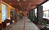 Туры в отель Blue Sea Apartamentos Callao Garden