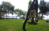 Туры в отель Sunny Dreams Holiday Apartment