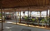Туры в отель OYO 2476 Morjim Coco Palm Resort