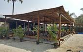 Туры в отель OYO 2476 Morjim Coco Palm Resort