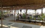Туры в отель OYO 2476 Morjim Coco Palm Resort