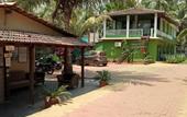 Туры в отель OYO 2476 Morjim Coco Palm Resort