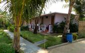 Туры в отель OYO 2476 Morjim Coco Palm Resort
