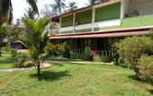 Туры в отель OYO 2476 Morjim Coco Palm Resort