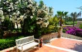 Туры в отель Delfino Blu Boutique Hotel