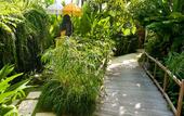 Туры в отель Maca Villas and Spa