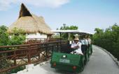 Туры в отель Bel Air Collection Resort & Animal Sanctuary