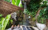 Туры в отель Adiwana Dara Ayu Villas