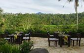 Туры в отель Adiwana Dara Ayu Villas