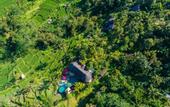 Туры в отель Adiwana Dara Ayu Villas
