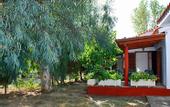 Туры в отель Alykes Park Bungalows & Apartments