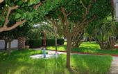 Туры в отель Alykes Park Bungalows & Apartments